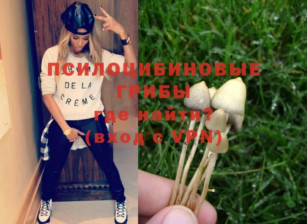 меф Белокуриха