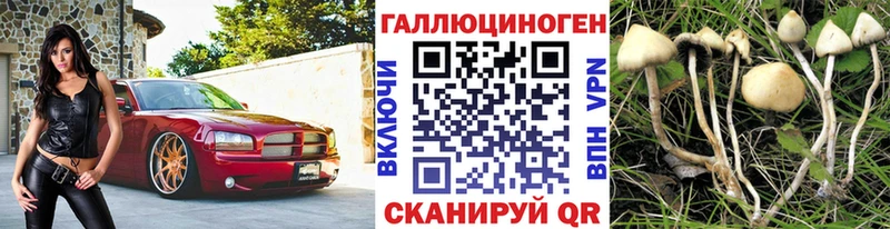 Псилоцибиновые грибы Psilocybine cubensis купить MEGA ссылки Олёкминск